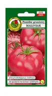 Nasiona i cebule - Pomidor gruntowy Maliniak 1 g PNOS - miniaturka - grafika 1