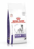 Sucha karma dla psów - Royal Canin Dental Medium/Large Dog 13 kg - miniaturka - grafika 1