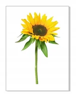 Naklejki na ścianę - Naklejki na ścianę meble lustro 70cm Słonecznik 5, 70x47 cm - miniaturka - grafika 1
