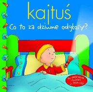 Książki edukacyjne - Kajtuś. Co to za dziwne odgłosy? - miniaturka - grafika 1
