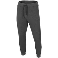 Spodnie męskie - Spodnie Męskie 4F Ciemny Szary Melanż H4Z22 Spmd351 23M-Xl - miniaturka - grafika 1