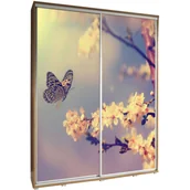 Szafy - Szafa 155 z Grafiką Motyl 2 Penelopa Maridex Kasztan Wenge - miniaturka - grafika 1