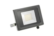 Lampy ogrodowe - Naświetlacz LED GTV VIPER, 30 W, szary, 1 szt. - miniaturka - grafika 1