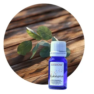 EUCALYPTUS - Kompozycja Zapachowa 10 ml - Zapachy do domu EUCALYPTUS - Kompozycja Zapachowa 10 ml - Zapachy do domu - miniaturka - grafika 1
