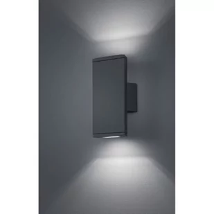 Trio COLORADO 228460242 - Lampy ogrodowe - miniaturka - grafika 1