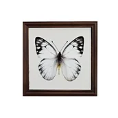 Ramki na zdjęcia - Fotografie w ramie  20 x 20 cm - miniaturka - grafika 1