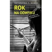 Biografie i autobiografie - Katarzyna T. Nowak Rok na odwyku Kronika powrotu - miniaturka - grafika 1