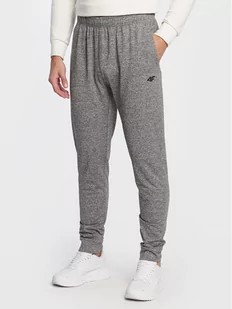 4F Spodnie dresowe H4Z22-SPMTR350 Szary Regular Fit - Spodnie sportowe męskie - miniaturka - grafika 1