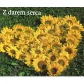 Aforyzmy i sentencje - Edycja Świętego Pawła praca zbiorowa Perełka 144. Z darem serca - miniaturka - grafika 1