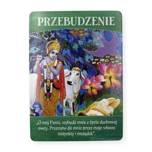 Wyrocznia boskiej obfitości, Tosha Silver (wydanie kieszonkowe) - Wróżbiarstwo i radiestezja - miniaturka - grafika 5