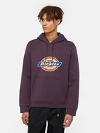 Bluzy męskie - felpa uomo dickies icon logo dk0a4xcb j561 plum - miniaturka - grafika 1