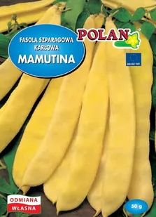 Fasola Karłowa Mamutina Nasiona 50g Polan - Nasiona i cebule - miniaturka - grafika 1