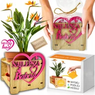 Nasiona i cebule - Prezent na DZIEŃ BABCI Strelicja Królewska Rajski Ptak Zestaw do uprawy - miniaturka - grafika 1