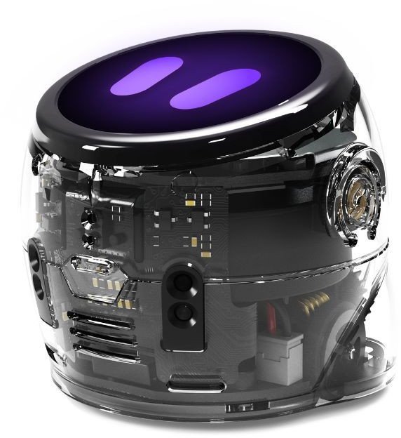 Ozobot Ari Entry Kit