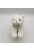 Maskotki i pluszaki - Pluszowy kot biały - miniaturka - grafika 1