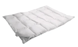 Animex Mówisz i Masz, Bossanova Soft , Kołdra całoroczna, Medium, 200x220 cm - Kołdry i poduszki dla dzieci - miniaturka - grafika 6