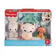 Grzechotki dla dzieci - Fisher Price, Zestaw Prezentowy Świat Zmysłów - miniaturka - grafika 1