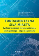 Biznes - Fundamentalna siła miasta Nowa - miniaturka - grafika 1