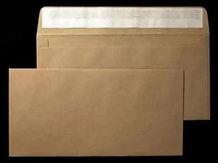 Savile Row Plain Camel DL 110x220 mm, 100g, HK. koperta ozdobna, ekologiczna (kod ppp357) przecena - 25% - Koperty - miniaturka - grafika 1
