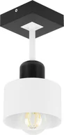 Lampy sufitowe - Biało-czarna lampa sufitowa, jednopunktowy spot DWE10x10SC z drewna i metalu E27 - miniaturka - grafika 1