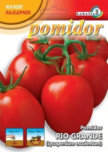 Pomidor Rio Grande 0,3g / L / - Nasiona i cebule - miniaturka - grafika 1