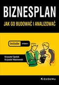 Biznes - Biznesplan. Jak go budować i analizować - miniaturka - grafika 1