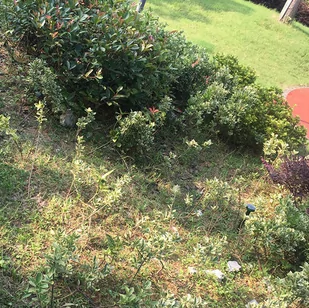 Ogrodowy solarny odstraszacz gryzoni i zwierząt (kun, myszy, szczurów, kretów)2 szt. DOBERMAN KRET II GARDEN VOLT POLSKA - Zwalczanie i odstraszanie szkodników - miniaturka - grafika 9