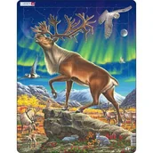 Puzzle - Larsen Puzzles Puzzles Reindeer LA-FH26 - miniaturka - grafika 1