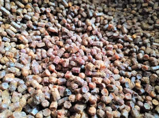 Pierzga pszczela 1kg super wzmocnienie - Miód - miniaturka - grafika 1