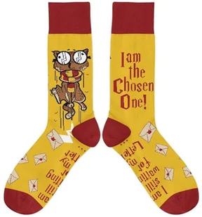 Skarpetki - Wybraniec 37/41 - Skarpety termoaktywne - miniaturka - grafika 1