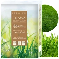 Nasiona i cebule - NASIONA TRAW ZIELONA SAHARA TRAWA DO TRUDNYCH WARUNKÓW ODPORNA 1KG DCO - miniaturka - grafika 1