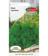 Nasiona i cebule - Nasiona Koper ogrodowy 5g - Torseed - miniaturka - grafika 1