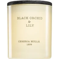 Świece - CERERIA MOLLA CM Świeca Premium 230 gr Black Orchid and Lily CM-5543 - miniaturka - grafika 1