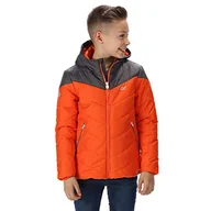 Kurtki i płaszcze dla chłopców - Regatta Unisex Dziecięca 'Lofthouse Iii' Izolowana kurtka Z Baffled/pikowane kurtki Blaze Orange/Magnet 11-12 - miniaturka - grafika 1