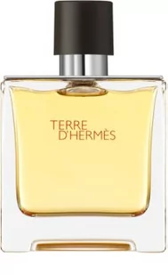 Hermes Terre DHermes Woda toaletowa 100ml - Wody i perfumy męskie - miniaturka - grafika 1