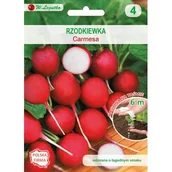 Nasiona i cebule - Nasiona na taśmie - rzodkiewka Carmesa W.Legutko - miniaturka - grafika 1
