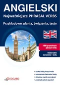 Książki do nauki języka angielskiego - Pytlińska Zuzanna Angielski Najważniejsze Phrasal Verbs - miniaturka - grafika 1