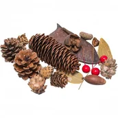 Dekoratorstwo - Susz dekoracyjny 30~40g SD 5 BREWIS - miniaturka - grafika 1