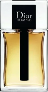 Dior Homme EDT 100 ml - Wody i perfumy męskie - miniaturka - grafika 1