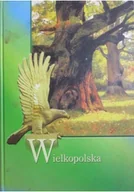 Przewodniki - Wielkopolska zawsze w Europie - miniaturka - grafika 1