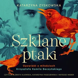 Szklane ptaki Katarzyna Zyskowska - Audiobooki - biografie - miniaturka - grafika 1