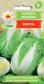 Nasiona i cebule - Kapusta pekińska BRISTOL Brassica rapa L. subsp. pekinensis - miniaturka - grafika 1