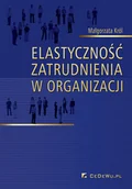Ekonomia - Elastyczność zatrudnienia w organizacji - miniaturka - grafika 1