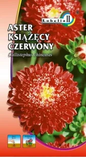 Aster książęcy czerwony 1g / L / - Nasiona i cebule - miniaturka - grafika 1