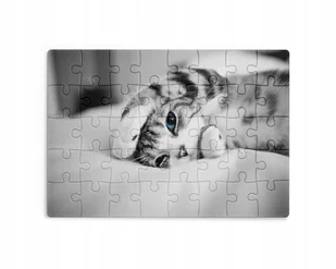 Puzzle 30/70/96/110 Elementów Sublimacja Eko Pudełko Kotki Różne Grafiki - Puzzle Puzzle 30/70/96/110 Elementów Sublimacja Eko Pudełko Kotki Różne Grafiki - Puzzle - miniaturka - grafika 1