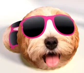 Kołdry i poduszki dla dzieci - Poduszka przytulanka 147 pies w okularach - miniaturka - grafika 1