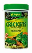 Pokarm dla płazów i gadów - Tropical Crickets 100ml 16708-uniw - miniaturka - grafika 1