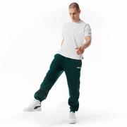 Spodnie sportowe męskie - Męskie spodnie dresowe Prosto Digo - zielone - PROSTO - miniaturka - grafika 1