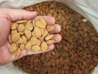 Orzechy i nasiona - Migdały Całe Naturalne Hiszpańskie 1Kg Swojska Piwniczka - miniaturka - grafika 1