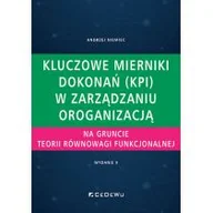 Zarządzanie - Kluczowe mierniki dokonań (KPI) w zarządzaniu - miniaturka - grafika 1